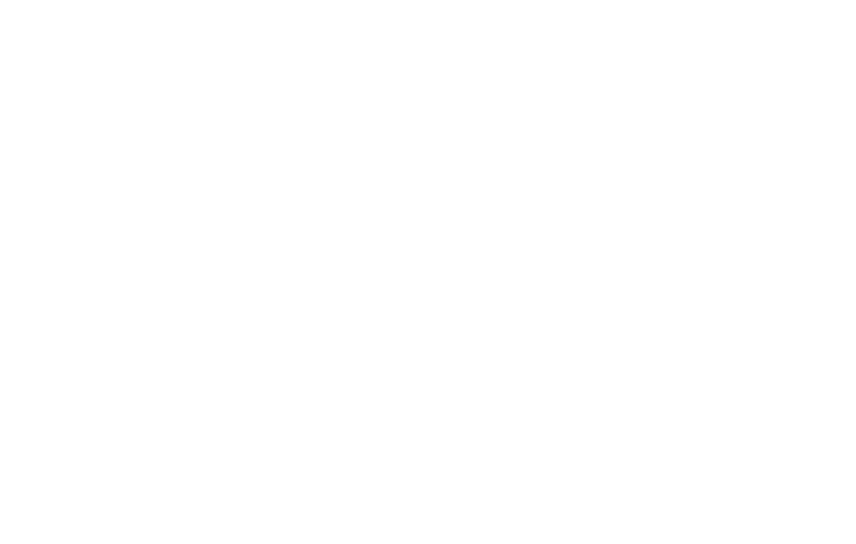 Irina Morresi